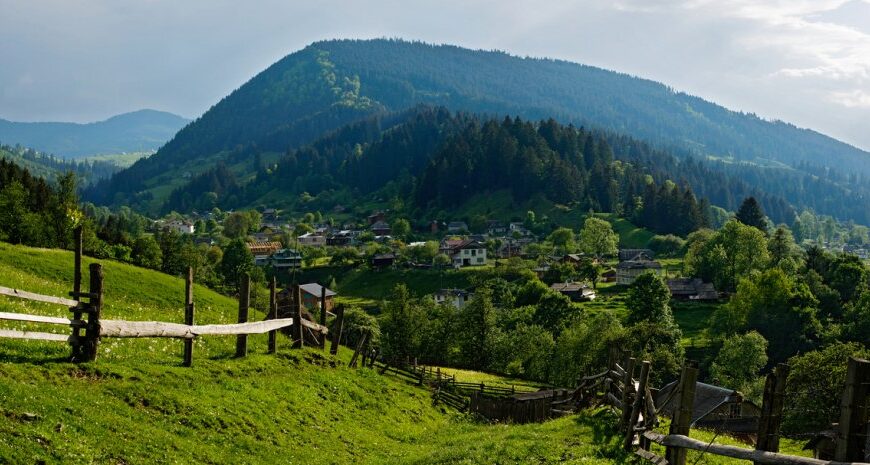 Карпати чи Чорне море: чому краще обрати гори для відпочинку влітку 2025 року
