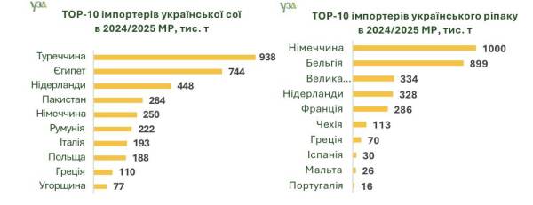 Україна експортувала 46,7 мільйона тонн зернових та олійних культур минулого сезону | INFBusiness