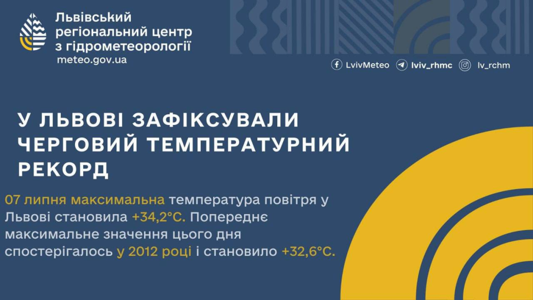Падіння дерев та піщана буря: Львів постраждав від негоди (відео) | INFBusiness