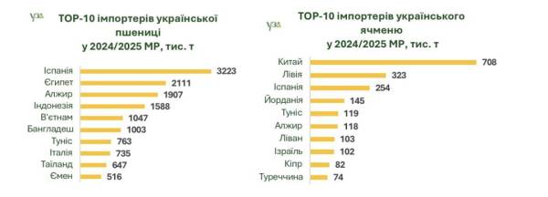 Україна експортувала 46,7 мільйона тонн зернових та олійних культур минулого сезону | INFBusiness