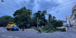 Падіння дерев та піщана буря: Львів постраждав від негоди (відео) | INFBusiness