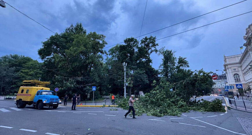 Падіння дерев та піщана буря: Львів постраждав від негоди (відео)