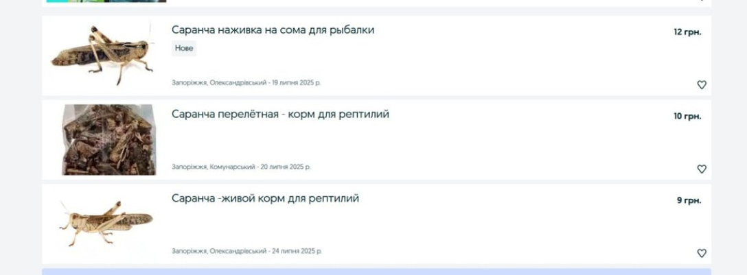 Нашестя сарани в Україні – чи каратимуть податківці за продаж комах чи ні? | INFBusiness