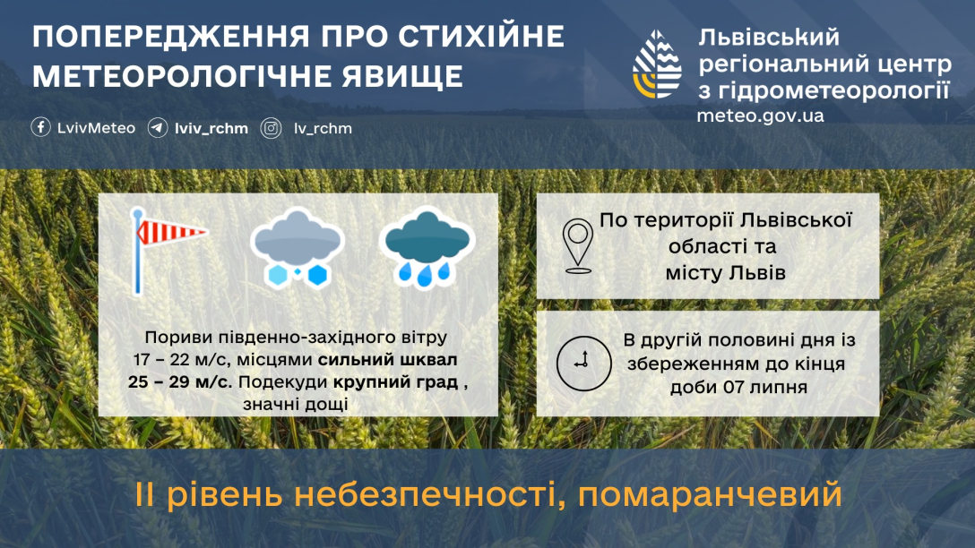 Падіння дерев та піщана буря: Львів постраждав від негоди (відео) | INFBusiness