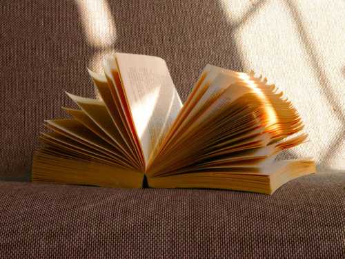 5 потужних книг, які можна прочитати за один раз