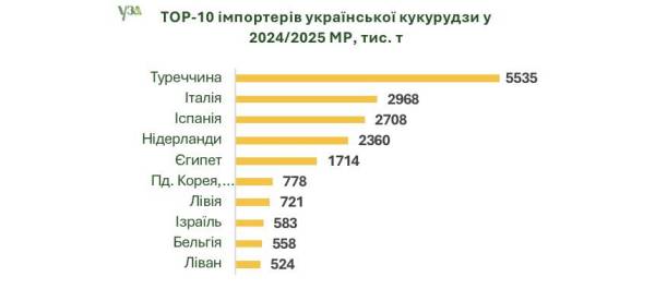 Україна експортувала 46,7 мільйона тонн зернових та олійних культур минулого сезону | INFBusiness