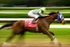 Чоловіки стверджують, що змогли подолати дистанцію Grand National менш ніж за 10 хвилин | INFBusiness