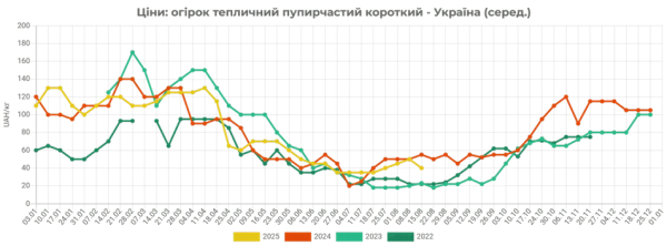 Тепличні огірки в Україні подешевшали | INFBusiness