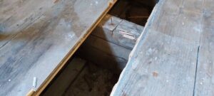 Сантехніки знімають підлогові дошки та роблять «моторошну» знахідку | INFBusiness