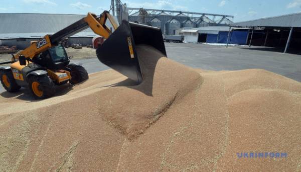 Україна експортувала 3,4 мільйона тонн сільськогосподарської продукції в липні - UKAB | INFBusiness