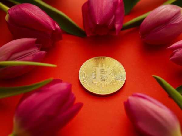 Токени CEX на розгляді: інвестиційна можливість чи ризик, як у FTX? | INFBusiness