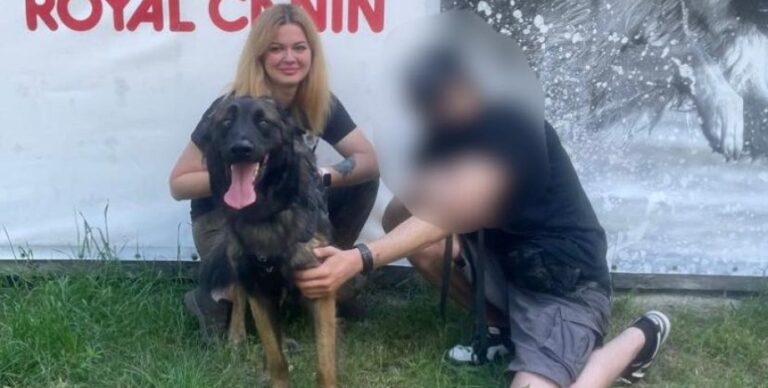 Загублений у лісі: на Київщині врятували вівчарку солдата Французького легіону (відео)