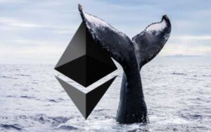 Кіт вийшов зі сплячки та купив Ethereum за 270 мільйонів доларів | INFBusiness