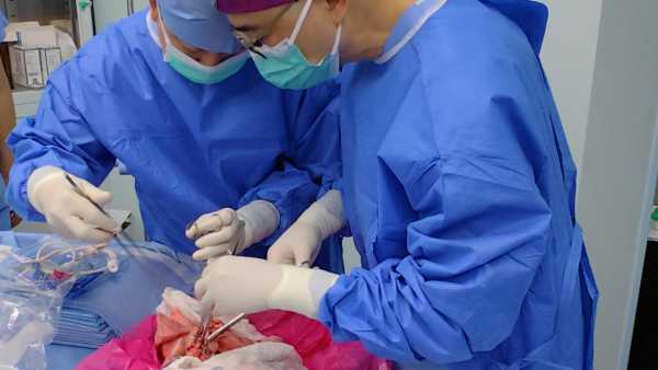 Альтернатива LASIK? Ранні випробування нового безлазерного лікування очей показують багатообіцяючі результати | INFBusiness