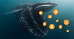 Кити надсилають BTC на Binance | INFBusiness