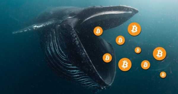 Кити надсилають BTC на Binance