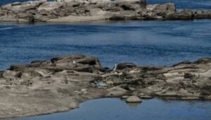 В Україні зафіксовано найнижчі запаси води за десятиліття – створюються резерви на зиму | INFBusiness