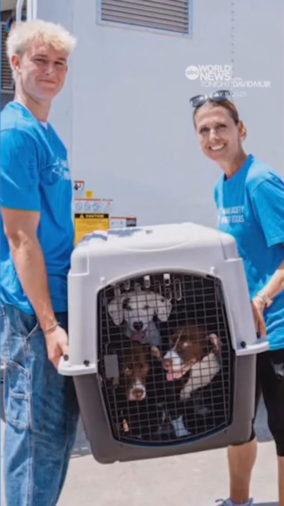 Sourse: abcnews.go.com Відео Сотні котів і собак врятовані під час смертельної повені в Техасі за допомогою волонтерів | INFBusiness