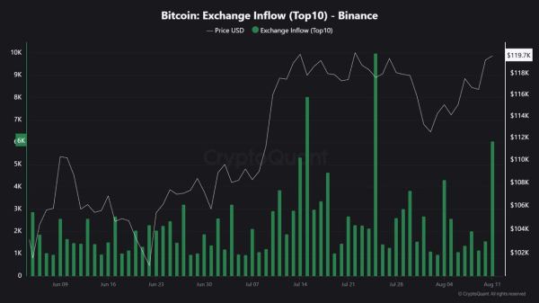 Кити надсилають BTC на Binance | INFBusiness