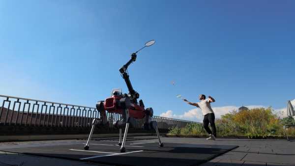 Як алкоголь викликає рак? | INFBusiness