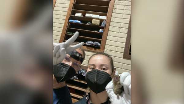 Гени цукролюбних плодових кажанів можуть вказувати на нові методи лікування діабету, кажуть вчені | INFBusiness
