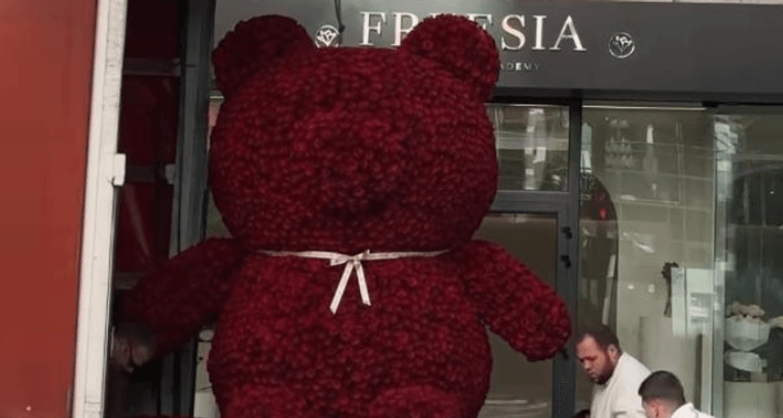 Плюшевий ведмедик з троянд за півмільйона гривень – в Україні розгорівся новий скандал