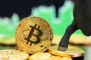 Криптовалютний ринок: Bitcoin перевищив позначку в 115 000 доларів, Dogecoin проривається | INFBusiness