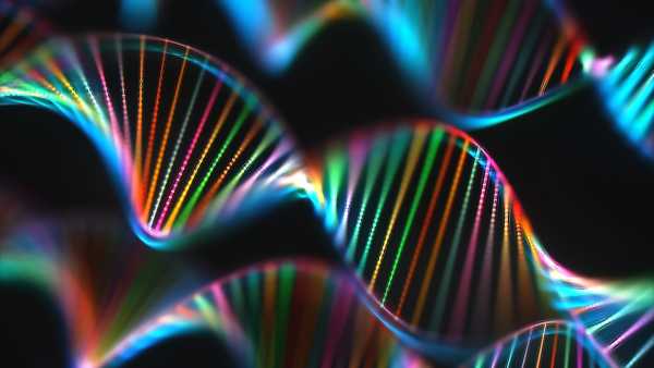 8 «гарячих точок» у геномі, пов’язаних з ME/CFS, у найбільшому дослідженні такого роду | INFBusiness