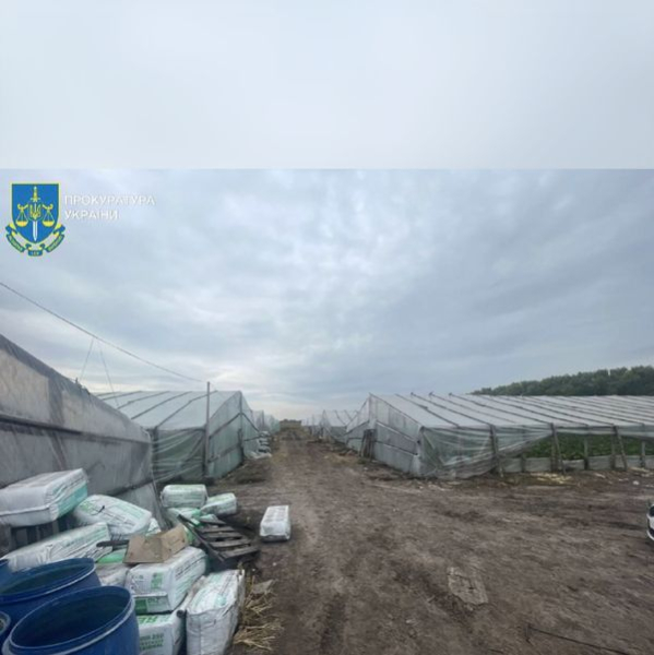 Невільників з Узбекистану знайшли поблизу Києва (фото) | INFBusiness