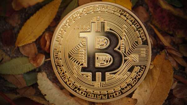 CIO Bitwise: «Ця корекція біткойна — це можливість»