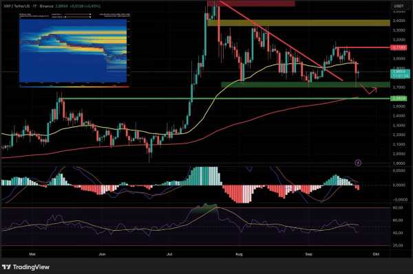 XRP у фокусі: Що далі для монети Ripple? | INFBusiness