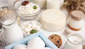 Українські компанії представлять органічну та молочну продукцію на міжнародній виставці в Німеччині | INFBusiness