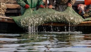 Російські браконьєри завдали збитків Азовському морю майже на 6 мільярдів гривень | INFBusiness