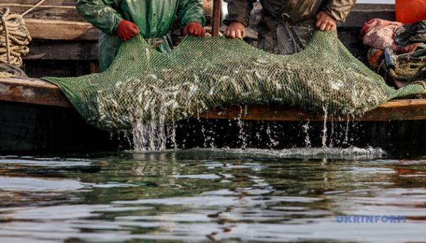 Російські браконьєри завдали збитків Азовському морю майже на 6 мільярдів гривень