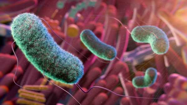 FDA радить остерігатися смарт-годинників, які обіцяють вимірювати рівень цукру в крові без уколів шкіри | INFBusiness