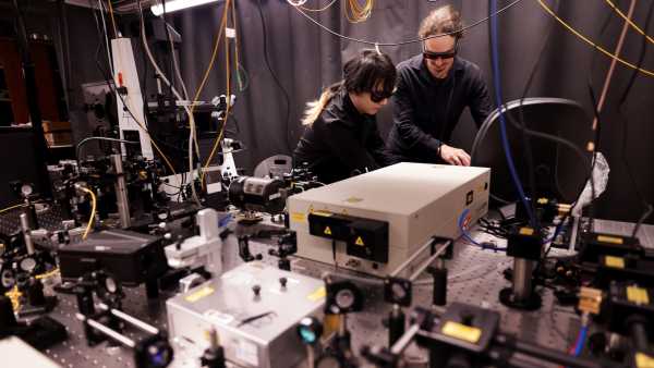 Нові клітини, виявлені в оці, можуть допомогти відновити зір, кажуть вчені | INFBusiness