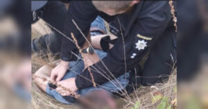 Жахливе вбивство у Вінницькій області: чоловік убив двох дітей | INFBusiness
