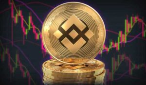 Ціна Binance Coin (BNB) вперше підскочила до 1000 доларів | INFBusiness