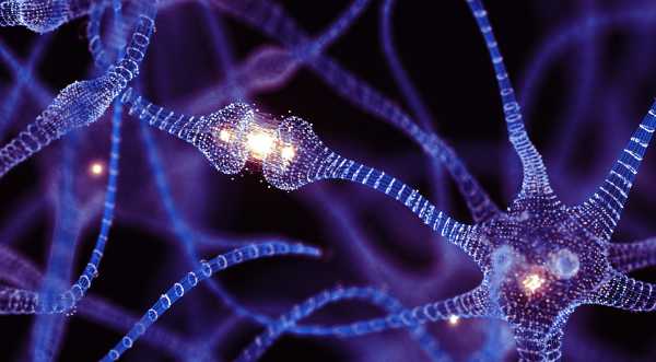 Нові клітини, виявлені в оці, можуть допомогти відновити зір, кажуть вчені | INFBusiness