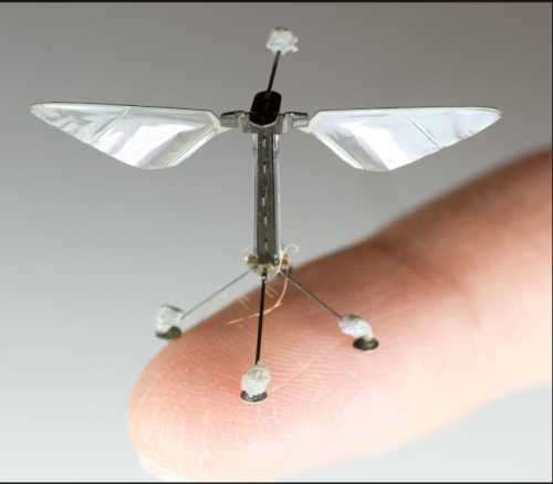 Роботи-голуби та комарі-шпигуни: дрони нового покоління вже служать в армії | INFBusiness