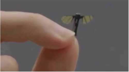 Роботи-голуби та комарі-шпигуни: дрони нового покоління вже служать в армії | INFBusiness