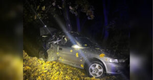 Під Києвом аварія: юні пасажири та 15-річний кермувальник у розбитому авто, є загиблі (фото) | INFBusiness