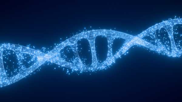 Х-зв'язаний ген під назвою KDM6A демонструє більшу активність у жінок, ніж у чоловіків, і пов'язаний із запаленням мозку, що може пояснити вищі показники розсіяного склерозу, що спостерігаються у жінок. (Зображення: quantic69/Getty Images) Ген на Х-хромосомі може допомогти пояснити високий рівень розсіяного склерозу у жінок | INFBusiness