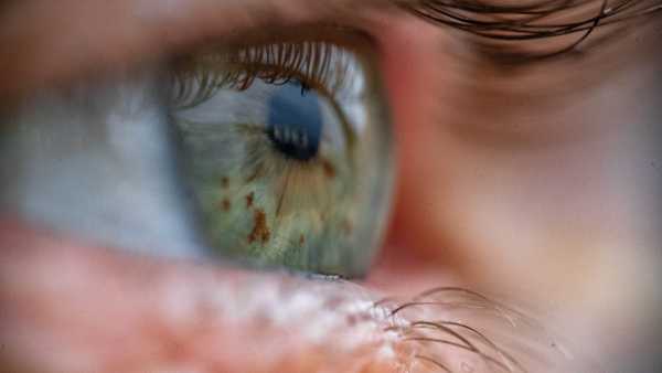 Чому зуби не вважаються кістками? | INFBusiness