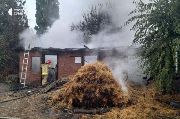 У ніч на 3 жовтня (з 20:00 2 жовтня) росіяни завдали комбінованого удару по території України з використанням ударних безпілотників, ракет повітряного та наземного базування. Про це повідомляють Повітряні сили Збройних сил України. Понад 400 безпілотників та ракет були використані росіянами вночі для ударів по енергетичній інфраструктурі України, — Повітряні сили | INFBusiness