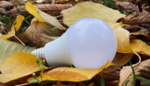 В Україні для підприємств запроваджено ліміти на електроенергію, на Чернігівщині – почергові відключення. | INFBusiness