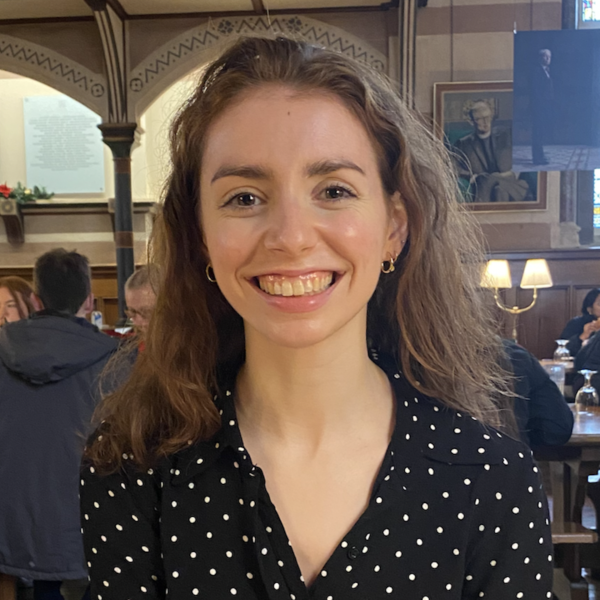 Ці менінгеальні лімфатичні судини, зображені рожевим кольором, знаходяться всередині менінгеального шару (синім) у мозку та забезпечують один із дренажних шляхів органу для рідини та відходів. (Зображення: Дженніфер Мансон) «Хіміомозок» може бути наслідком пошкодження дренажної системи мозку | INFBusiness