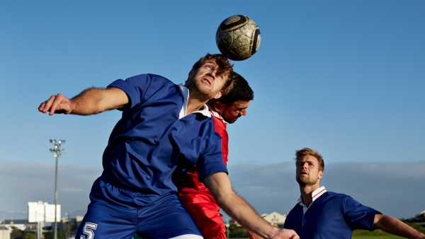 Ці менінгеальні лімфатичні судини, зображені рожевим кольором, знаходяться всередині менінгеального шару (синім) у мозку та забезпечують один із дренажних шляхів органу для рідини та відходів. (Зображення: Дженніфер Мансон) «Хіміомозок» може бути наслідком пошкодження дренажної системи мозку | INFBusiness