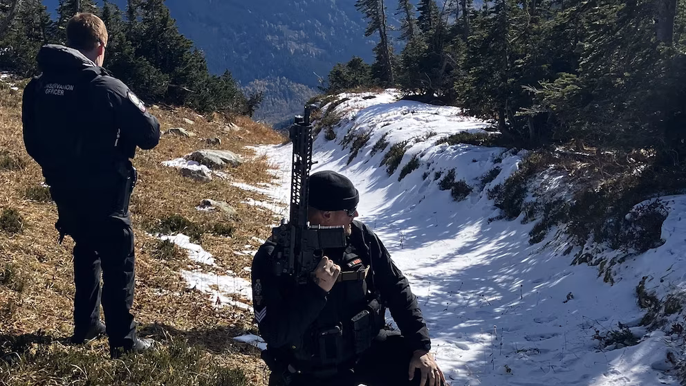 Двох туристів госпіталізували після зустрічі на стежці ведмедя грізлі з двома дитинчатами | INFBusiness