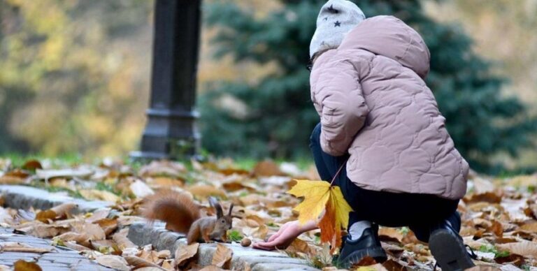 Прогноз погоди на вихідні – чи настане бабине літо в жовтні? | INFBusiness